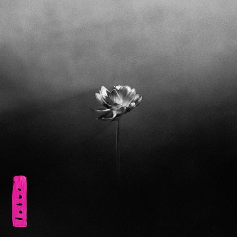 Lotus - CD Audio di Little Simz