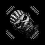 Iron Maiden Bandanna: The Book Of Souls