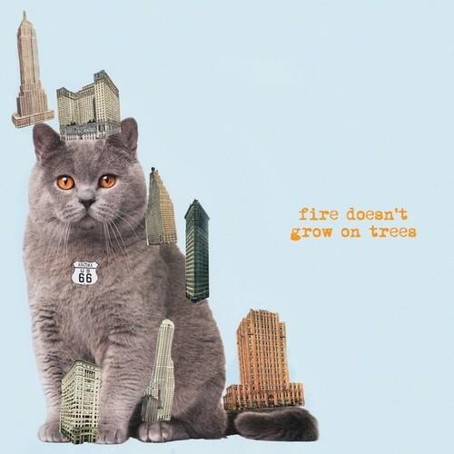 Fire Doesn't Grow On Trees - CD Audio di Brian Jonestown Massacre