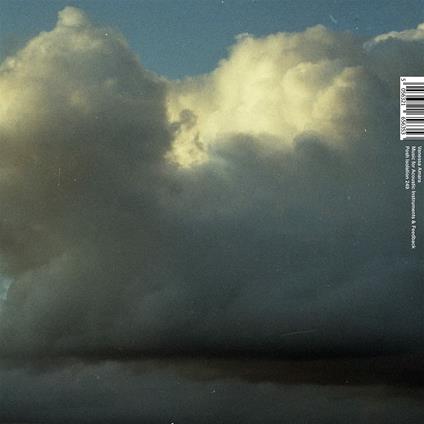 Music for Acoustic Instruments & Feedback - Vinile LP di Vanessa Amara