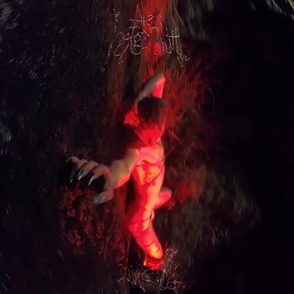 The Horgenaith - CD Audio di Sarahsson