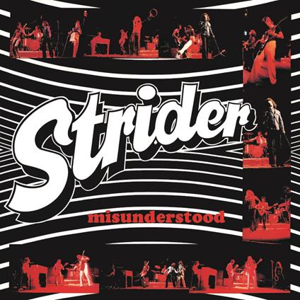 Misunderstood - CD Audio di Strider