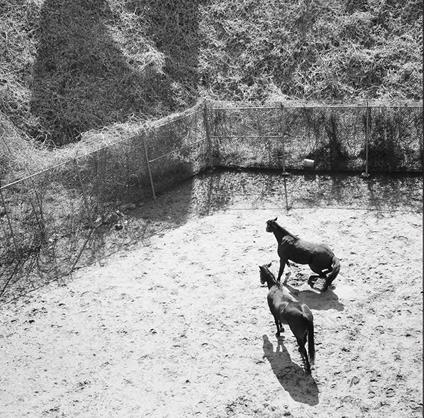 Over The Stations - Vinile LP di Center