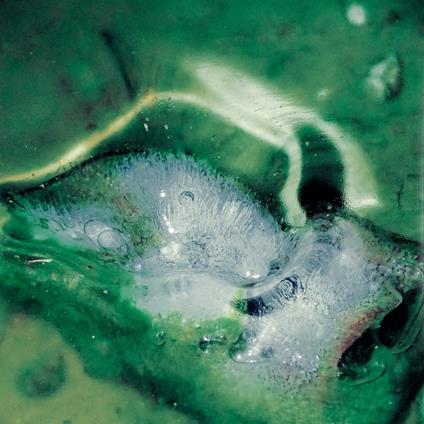 A Pool, A Portal - Vinile LP di Tristan Arp