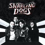 Snarling Dogs