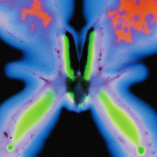 Elvers Pass - Vinile LP di Jorg Kuning