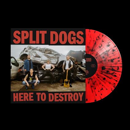 Here To Destroy (Red W-Black Splatter Vinyl) - Vinile LP di Split Dogs