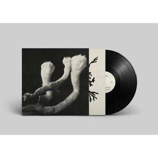 Learning - Vinile LP di Sophie Angel