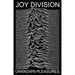 Joy Division: Unknown Pleasures (Bandiera)
