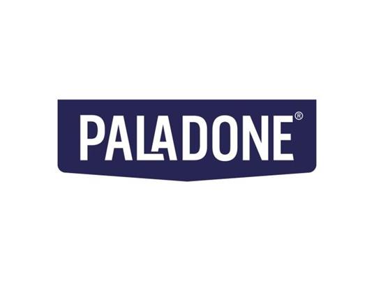 Demon Slayer Gadget Decals Paladone Products - Paladone Products - Album e  portacarte - Giocattoli