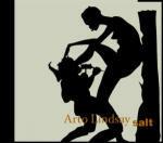 Salt - CD Audio di Arto Lindsay