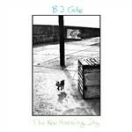 New Hovering Dog - Vinile LP di BJ Cole