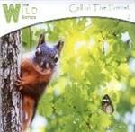 Call of the Forest - CD Audio di Midori (Medwyn Goodall)