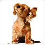 Dog Card. Relaxing Inspirational Music
