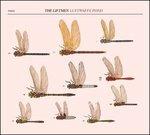 Luftwaffe Pond - CD Audio di Liftmen