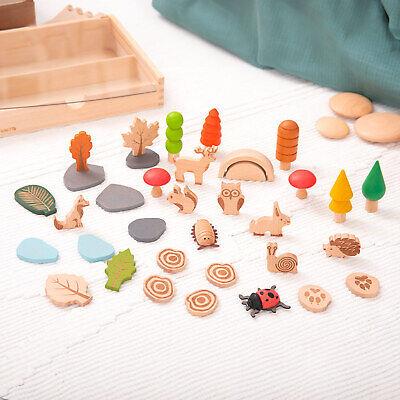 Sentiero nel Bosco - Gioco Alberi e Animali in Legno