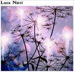 Luca Nieri - CD Audio di Luca Nieri