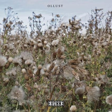 Ollust - CD Audio di Broads & Milly Hirst