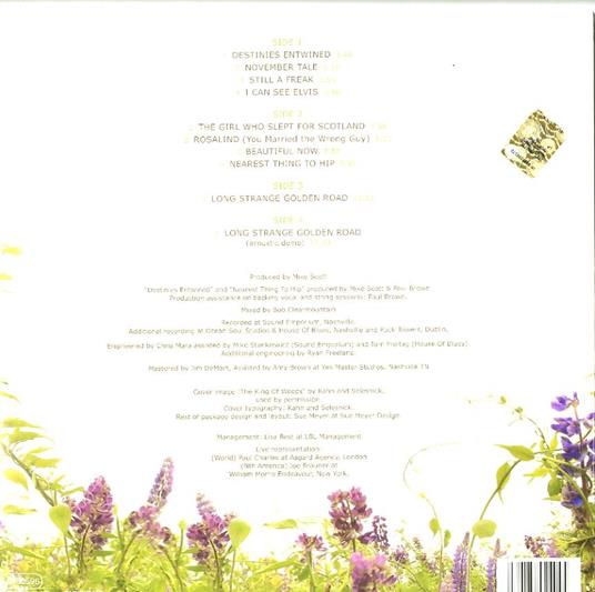 Modern Blues - Vinile LP di Waterboys - 2
