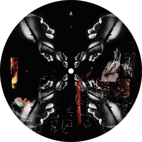 We Control - Vinile LP di Lilly Palmer