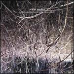 Winter Garden - CD Audio di Harold Budd,Eraldo Bernocchi,Robin Guthrie