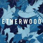 Blue Leaves - CD Audio di Etherwood