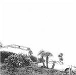 Hot Dreams - CD Audio di Timber Timbre
