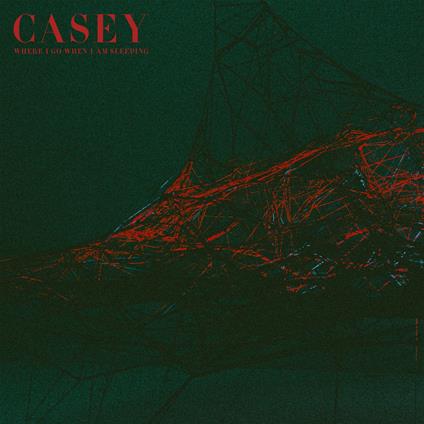 Where I Go When I Am Sleeping - CD Audio di Casey