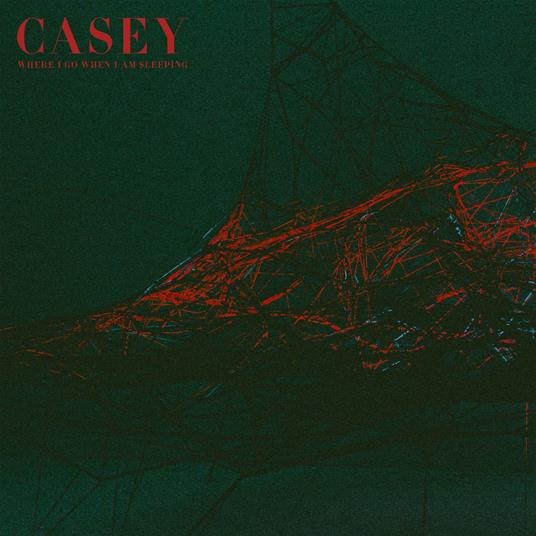 Where I Go When I Am Sleeping - CD Audio di Casey
