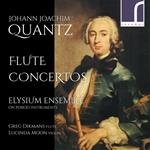 Flute Concertos