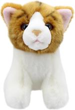Wilberry Mini Gatto Peluche, Zenzero