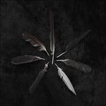Dust & Disquiet - Vinile LP di Caspian