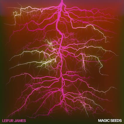 Magic Seeds - Vinile LP di Leifur James