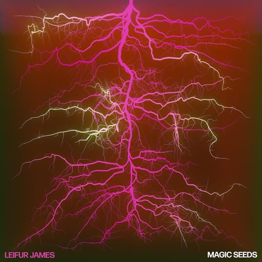 Magic Seeds - Vinile LP di Leifur James