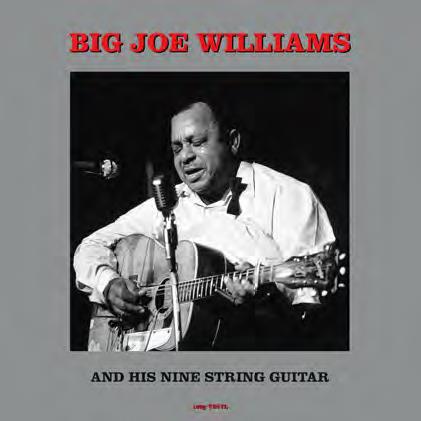 And His Nine String Guitar - Vinile LP di Big Joe Williams