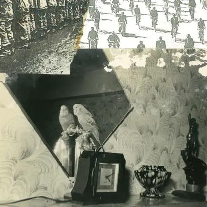 Mayday Signals - CD Audio di Swell Maps