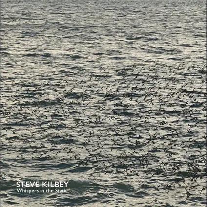 Whispers In The Attic - Vinile LP di Steve Kilbey