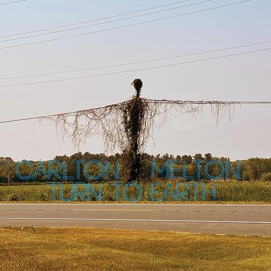 Turn To Earth - Vinile LP di Carlton Melton