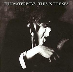 This Is the Sea - CD Audio di Waterboys