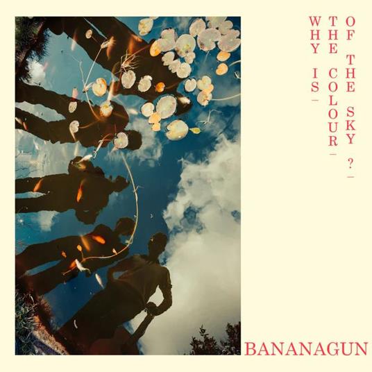 Why Is The Colour Of The Sky? - Vinile LP di Bananagun