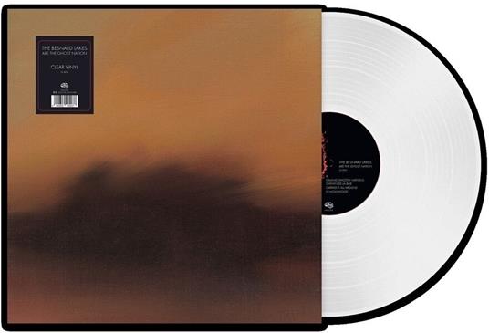 Are The Ghost Nation - Vinile LP di Besnard Lakes