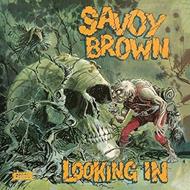 Looking In