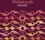 Remixes (10