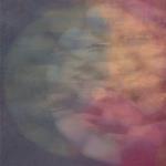 Cryptophasia (Orange-Black Smoke Vinyl)