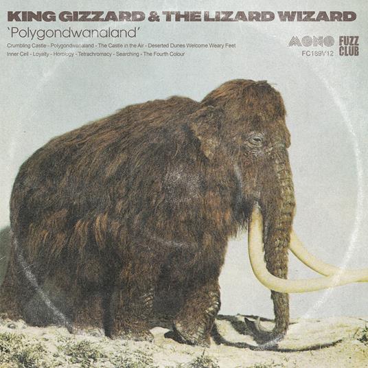 Polygondwanaland (Mono) - Vinile LP di King Gizzard and the Lizard Wizard