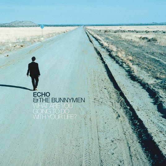 What Are You Going To Do With Your Life - Vinile LP di Echo & the Bunnymen
