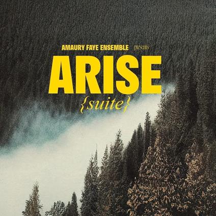 Arise (Suite) - CD Audio di Amaury Faye Ensemble