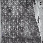 Plays Wagner - CD Audio di Indignant Senility