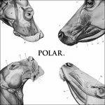 This Polar Noise - CD Audio di Polar