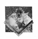 Holy Vacants - CD Audio di Trophy Scars